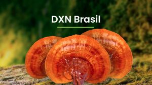 DXN Brasil